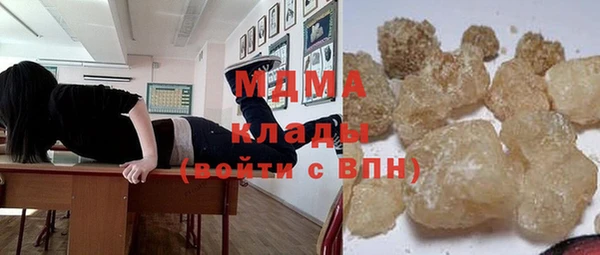 индика Алексин