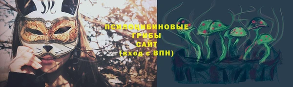 ГАЛЛЮЦИНОГЕННЫЕ ГРИБЫ Абинск
