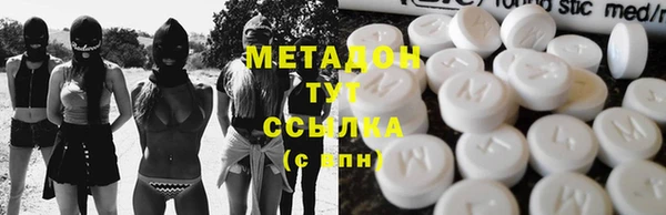 индика Алексин
