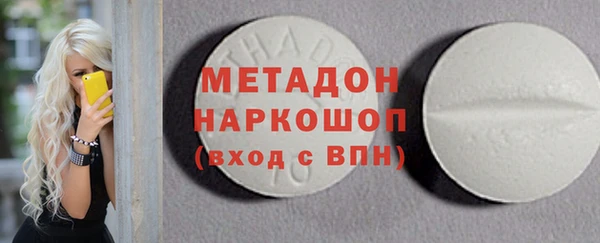 индика Алексин