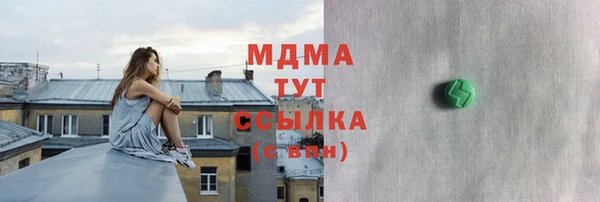 индика Алексин