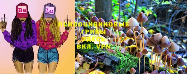 ешки Абдулино