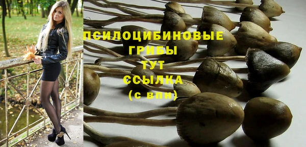 гидропоника Алексеевка
