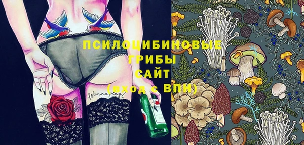индика Алексин