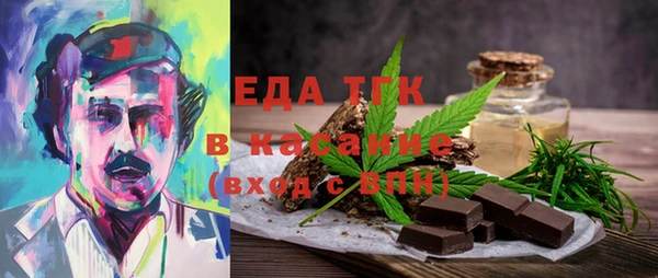 индика Алексин