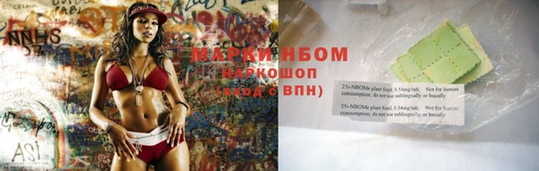 индика Алексин