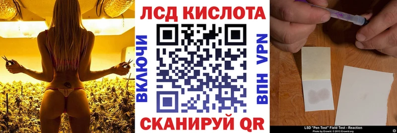 OMG tor  цена   Димитровград  Марки N-bome 1,8мг 