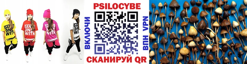 Псилоцибиновые грибы ЛСД  Димитровград 